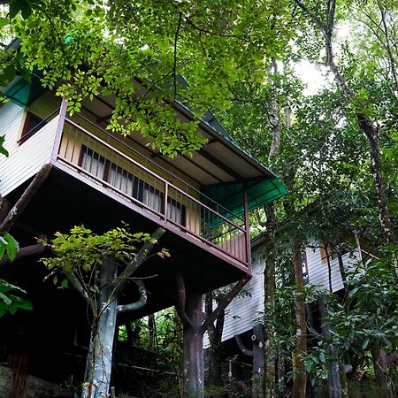 Space Rock Resort Kalpetta Exterior foto