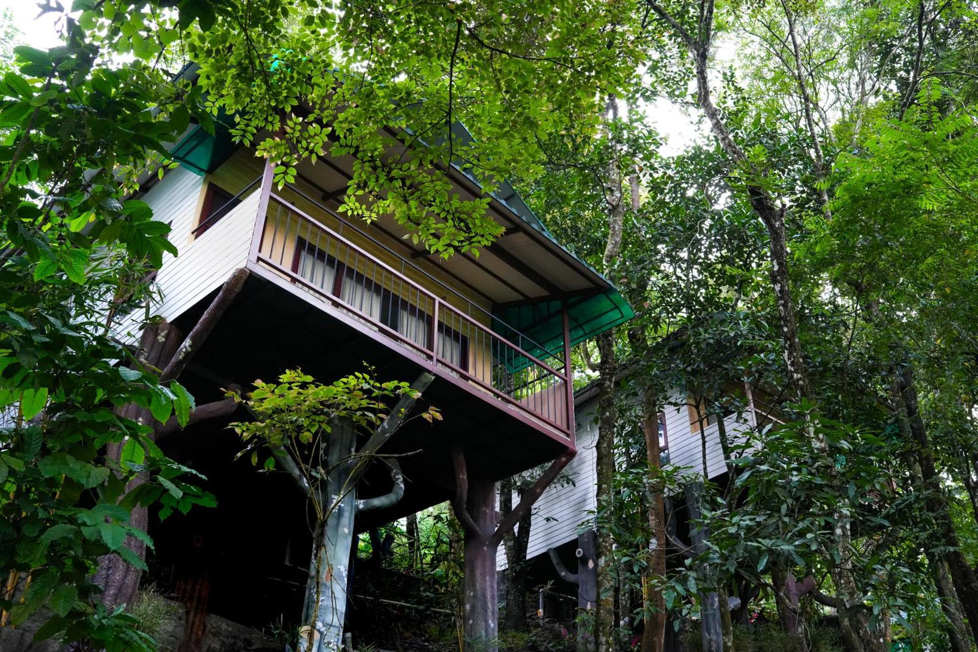 Space Rock Resort Kalpetta Exterior foto